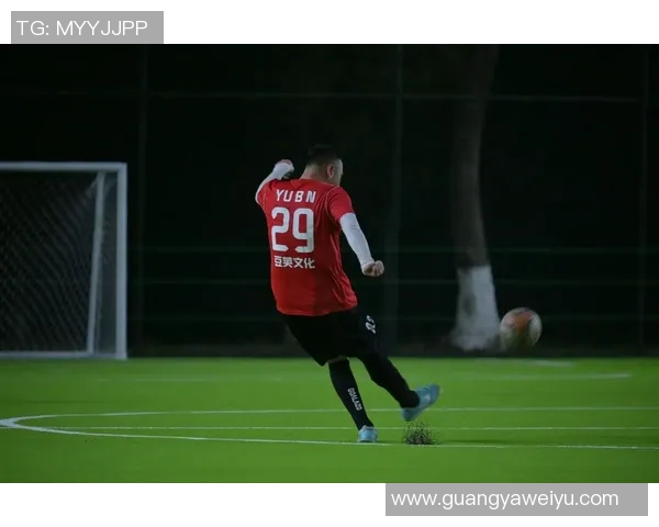 劣迹球星再度引发争议足球场内外行为引社会广泛关注