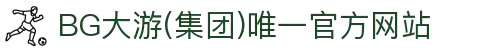 BG大游(集团)唯一官方网站
